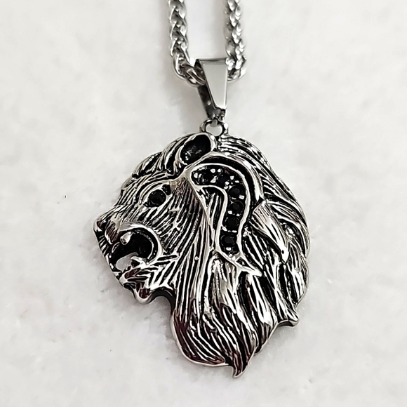 Stainlesss Steel Other - Lion pendant and 26in chain necklace